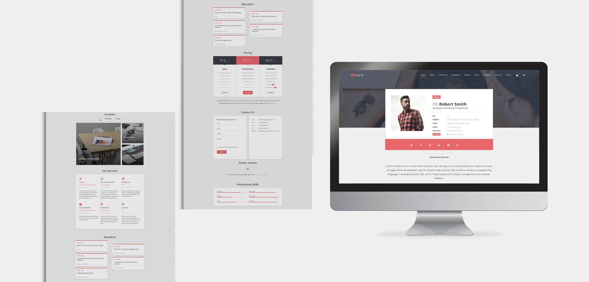 Resume professional services website example